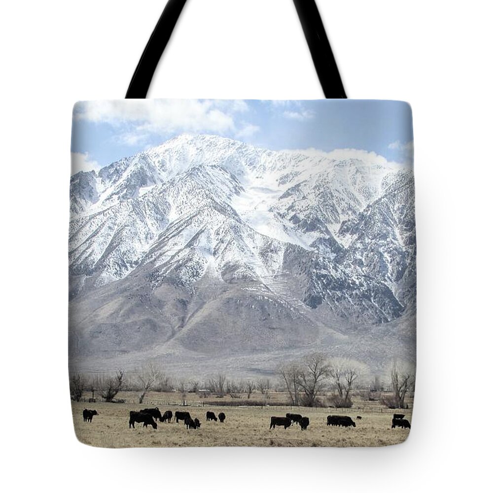 Sky Tote Bag featuring the photograph Cattle Country #2 by Marilyn Diaz