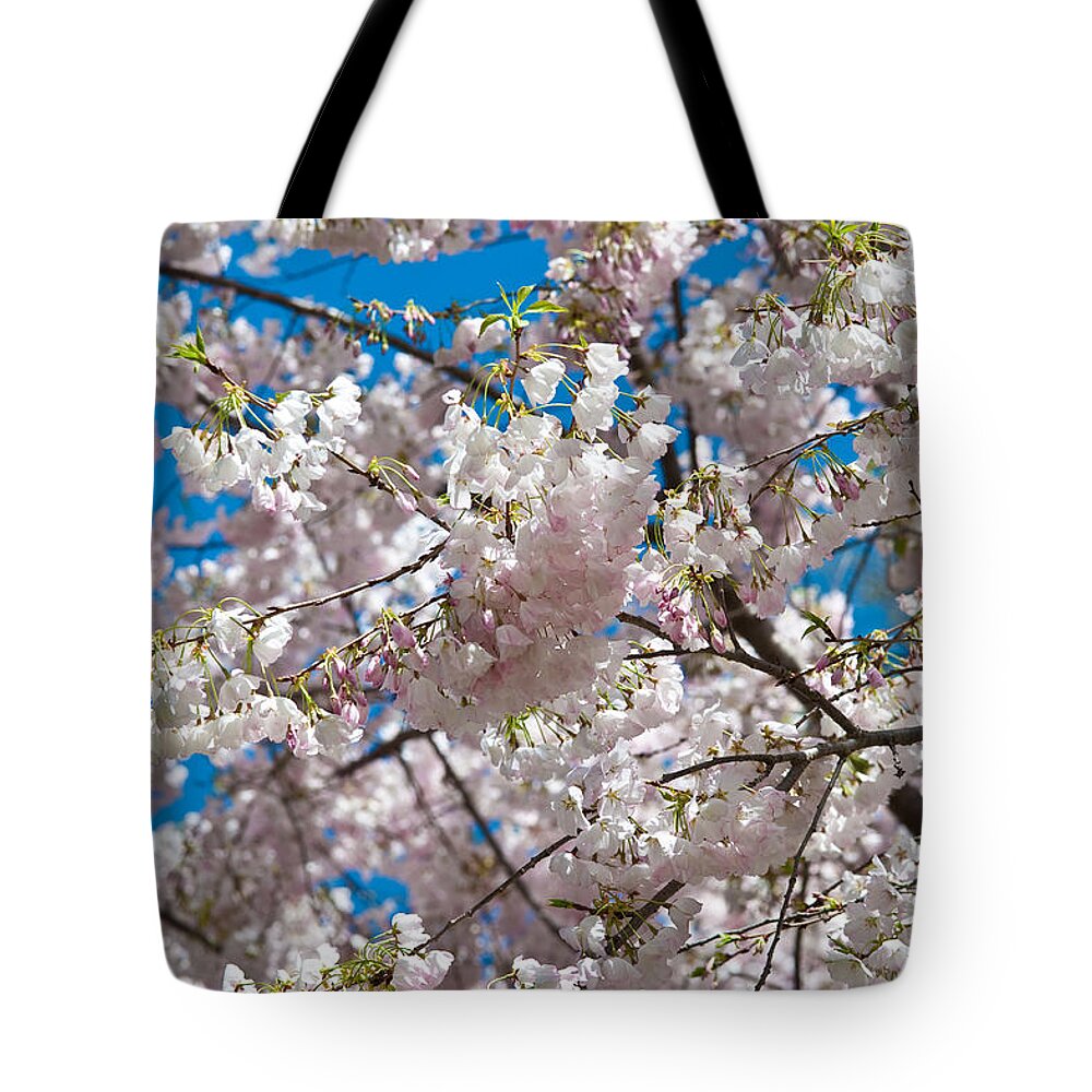 Cherry Blossom Tote Bag featuring the photograph Cherry Blossom #1 by Sebastian Musial