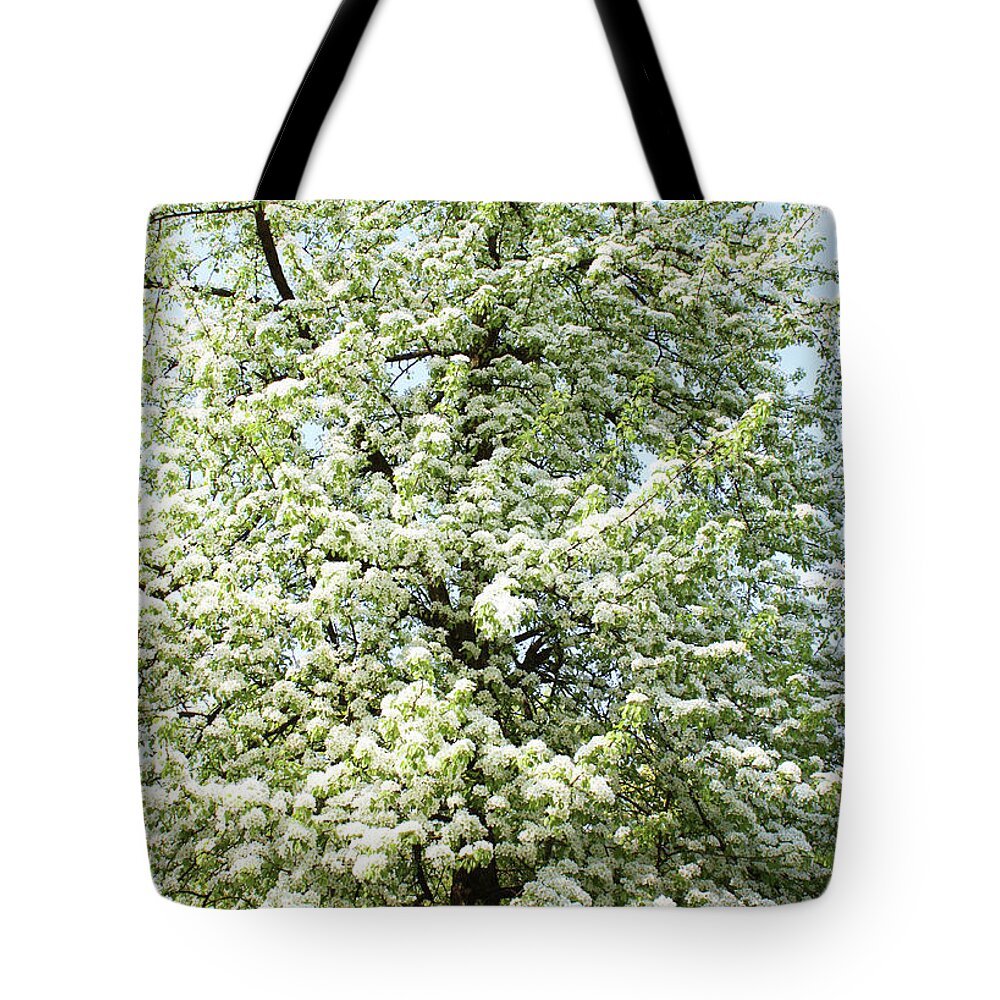 Spring Tote Bag featuring the photograph Cherry tree in blossom #3 by Irina Afonskaya