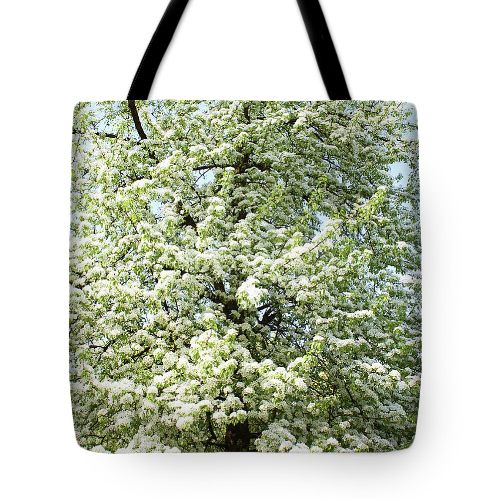 Flower Tote Bag featuring the photograph Cherry tree in blossom #2 by Irina Afonskaya