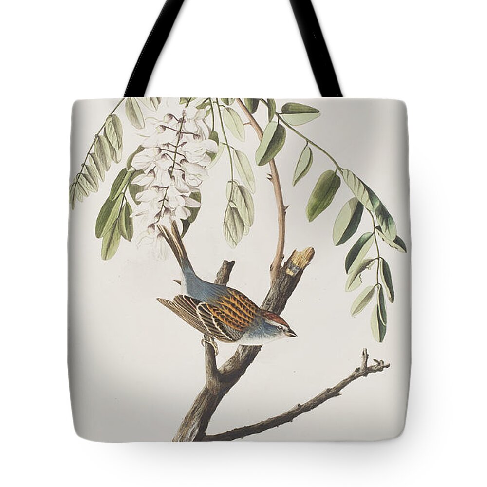 Chipping Sparrow Tote Bags