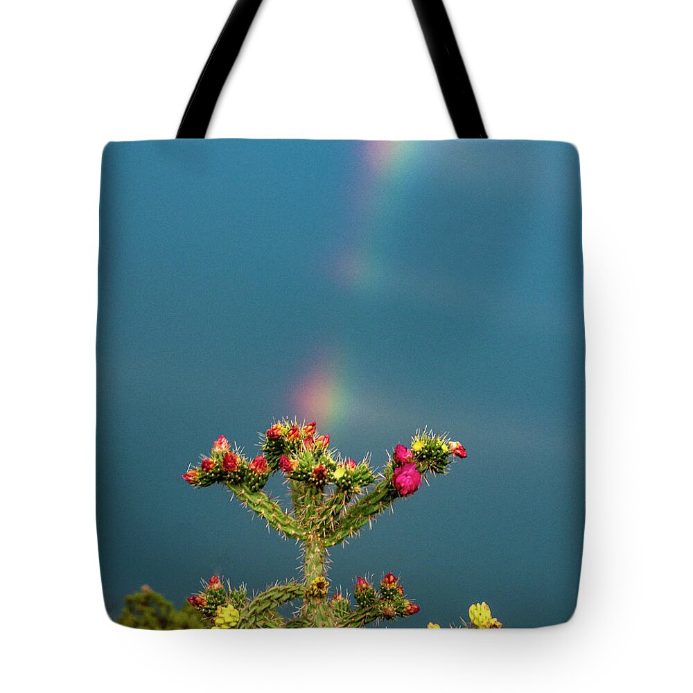 Natanson Tote Bag featuring the photograph Cholla Rainbow #1 by Steven Natanson