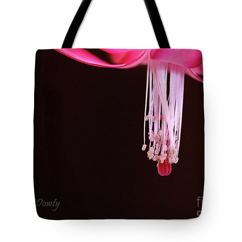 Christmas Cactus Stamen Tote Bag featuring the photograph Christmas Cactus Stamen by Natalie Dowty