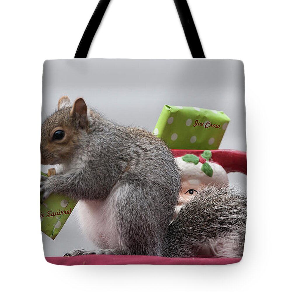 Squirrels Tote Bag featuring the photograph Christmas Squirrel #1 by Diane Giurco