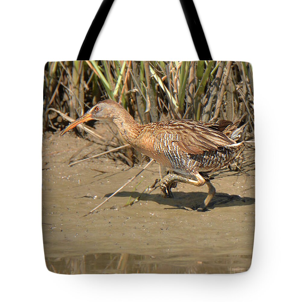 Bird Tote Bag featuring the photograph Clapper Rail #1 by Alan Lenk