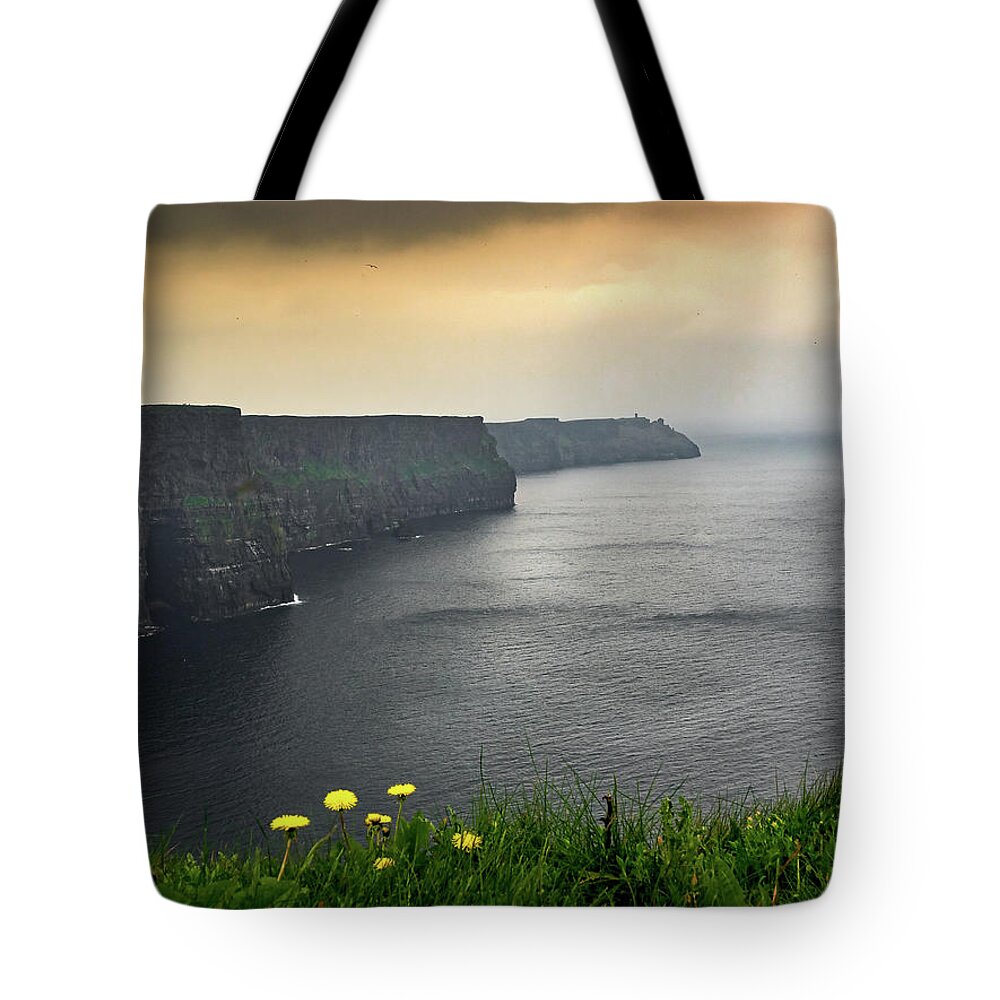 Cliffs Of Moher Tote Bag featuring the photograph Cliffs of Moher by Mark Llewellyn