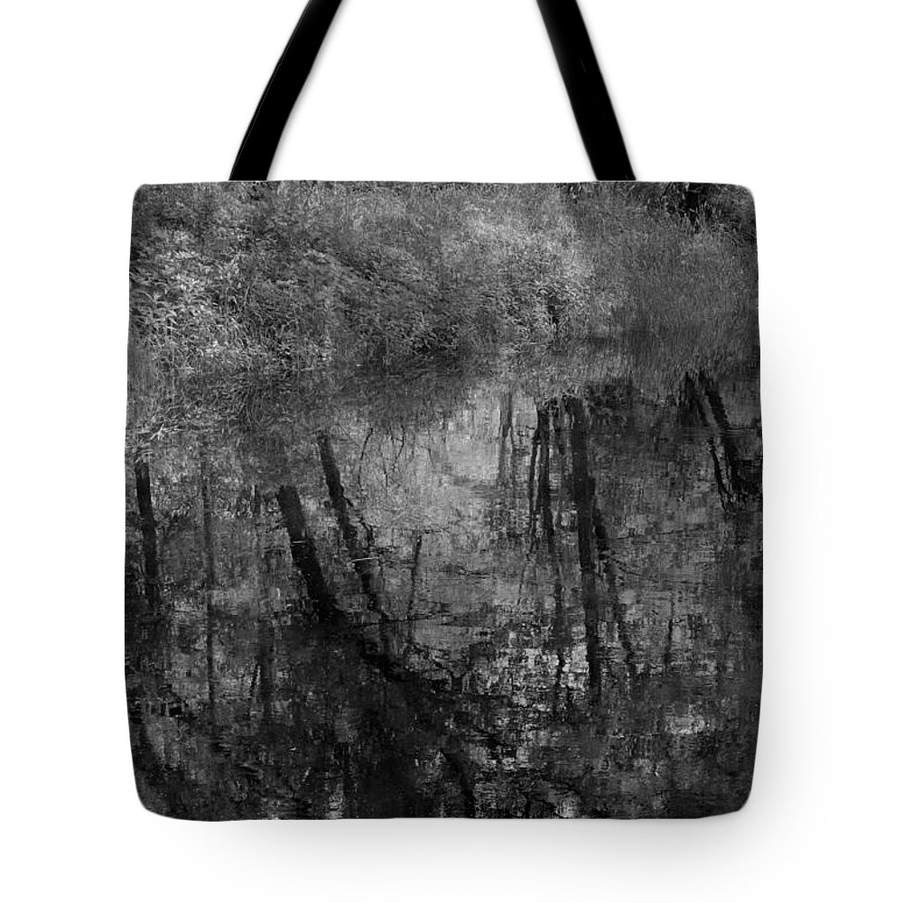 Reflections Tote Bag featuring the photograph Collins Creek Reflections #1 by Jim Vance