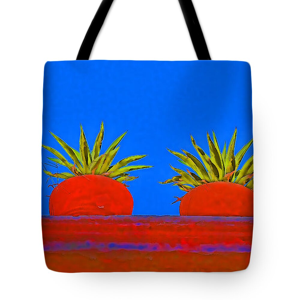 Mexico Tote Bag featuring the photograph Colorful Potted Plants Mexico by Carol Leigh