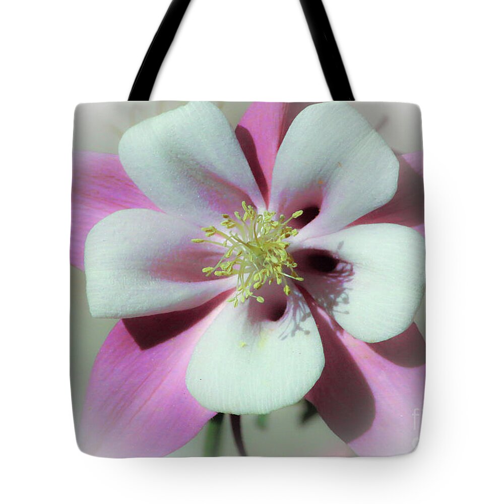 Columbine Tote Bag featuring the photograph Columbine #1 by Veronica Batterson