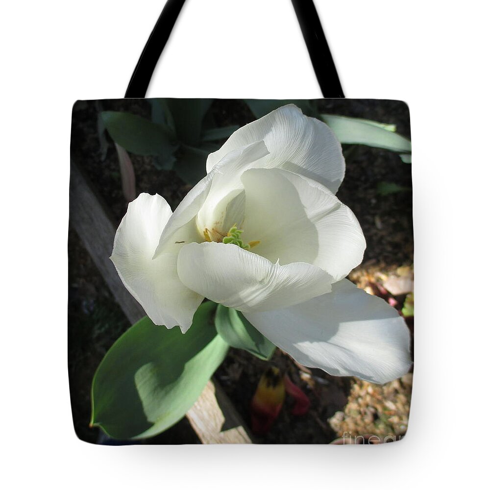 Flower Tote Bag featuring the photograph Come a little bit closer #1 by Marie Neder