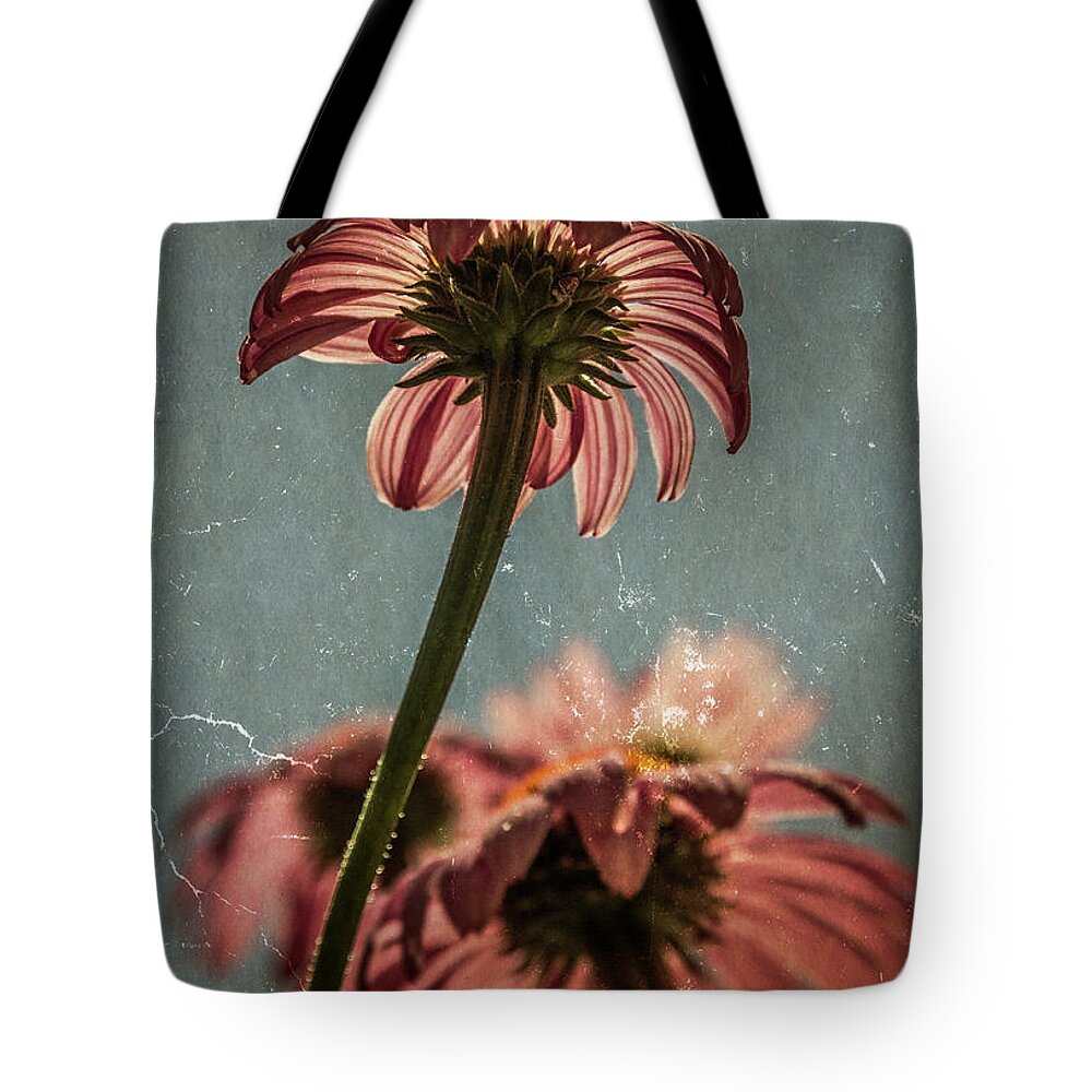 Flower Tote Bag featuring the photograph Coneflower #1 by Garry McMichael