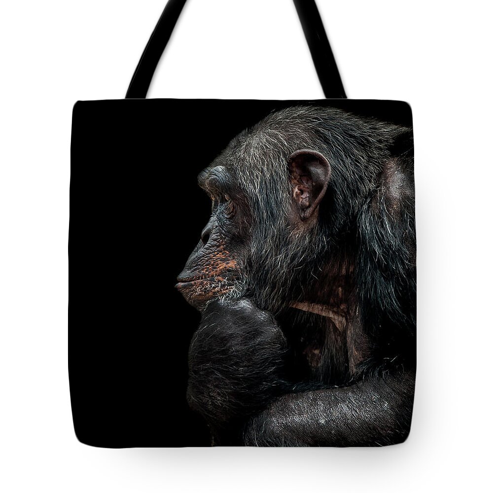 Chimpanzee Tote Bag featuring the photograph Contemplation by Paul Neville