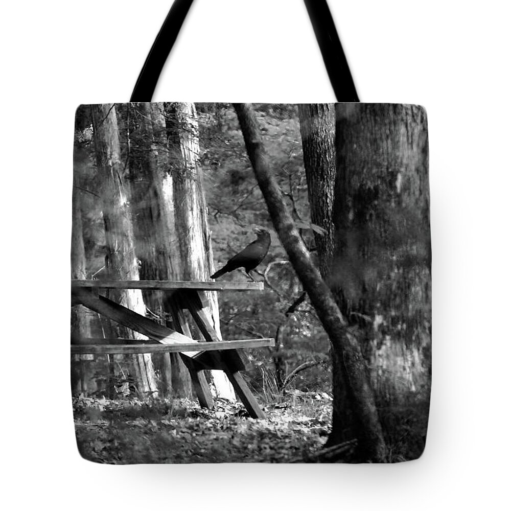 Crow Tote Bag featuring the photograph Crow on a table #1 by Andy Lawless