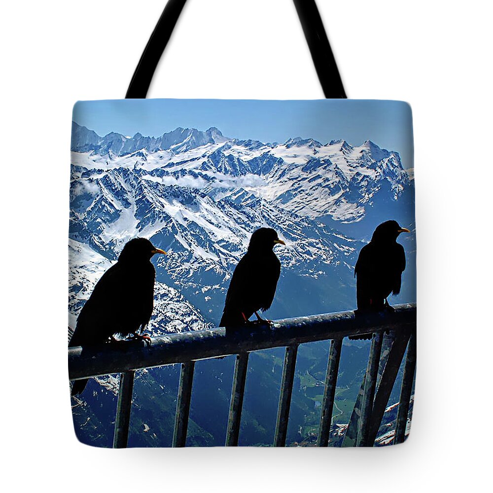 Europe Tote Bag featuring the photograph Crows On Top Of Mount Titlis - Switzerland #1 by Joseph Hendrix