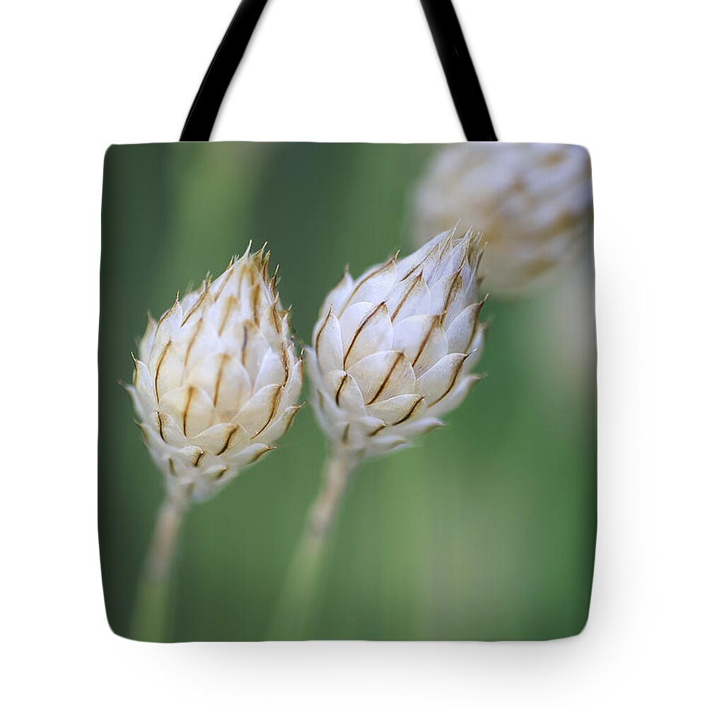 Cupid's Dart Tote Bag featuring the photograph Cupid's Dart #3 by Richard J Thompson 