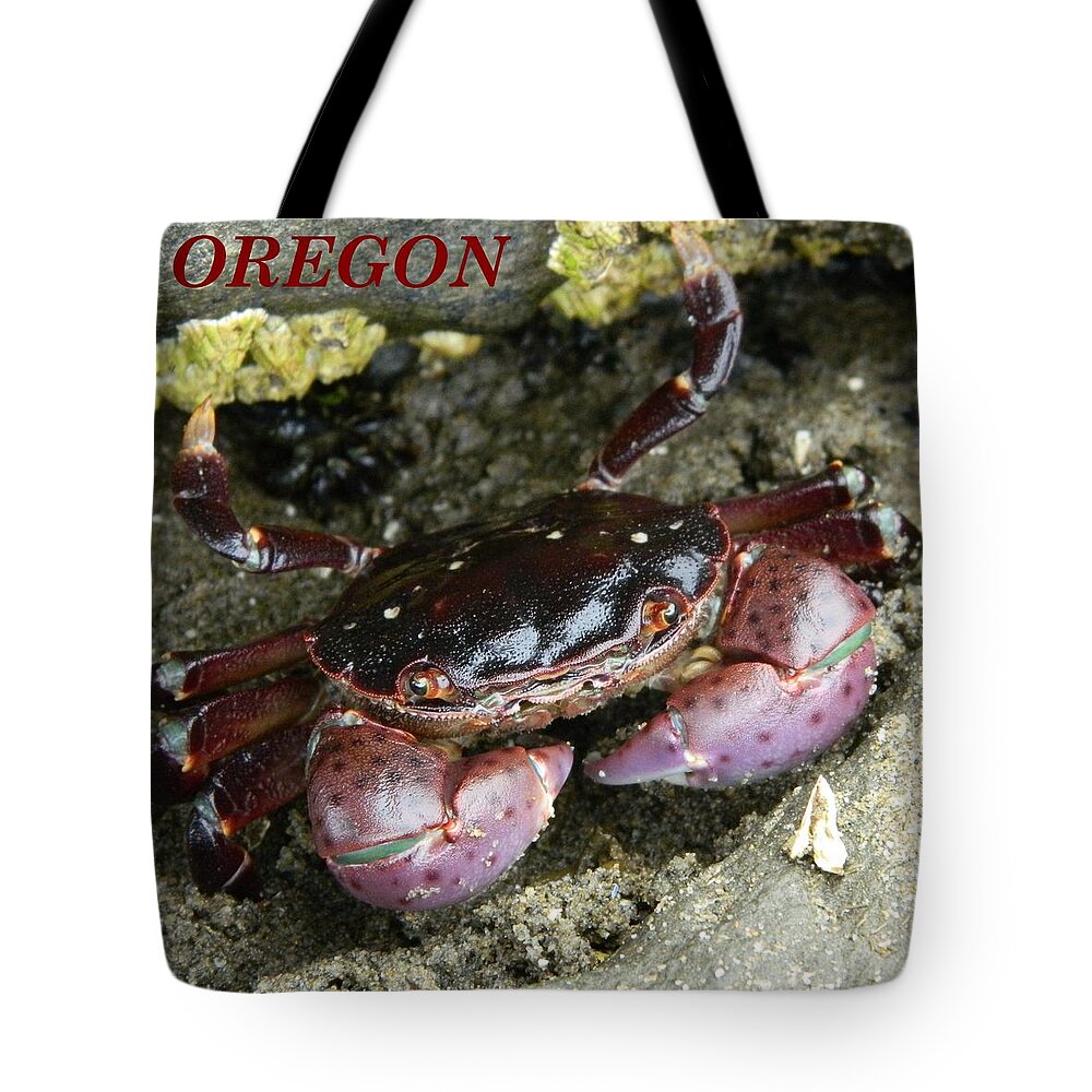 Crab Tote Bag featuring the photograph Cute Crab by Gallery Of Hope 
