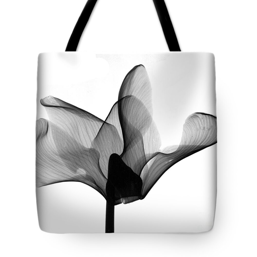 Nature Tote Bag featuring the photograph Cyclamen Flower X-ray #1 by Bert Myers