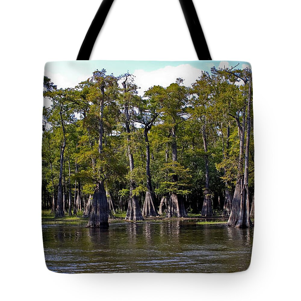 Cypress Tote Bag featuring the photograph Cypress on the Suwannee by Farol Tomson