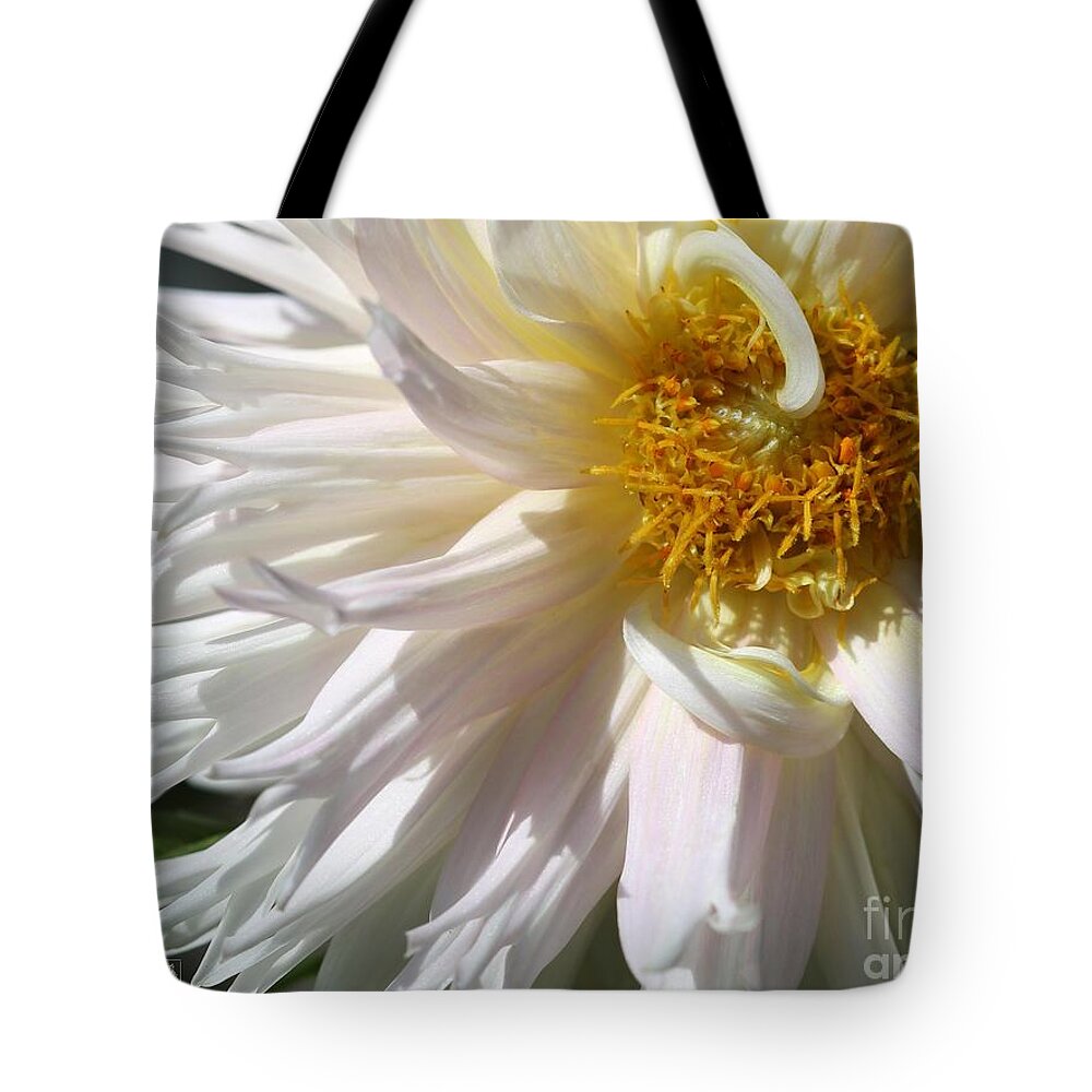 Mccombie Tote Bag featuring the photograph Dahlia named Nadia Ruth #5 by J McCombie