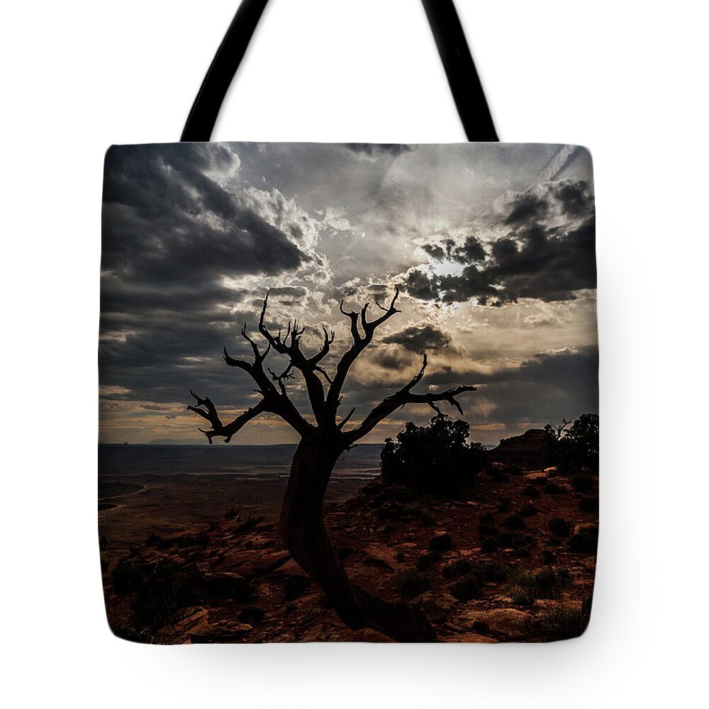 Jay Stockhaus Tote Bag featuring the photograph Dead Horse Point #1 by Jay Stockhaus
