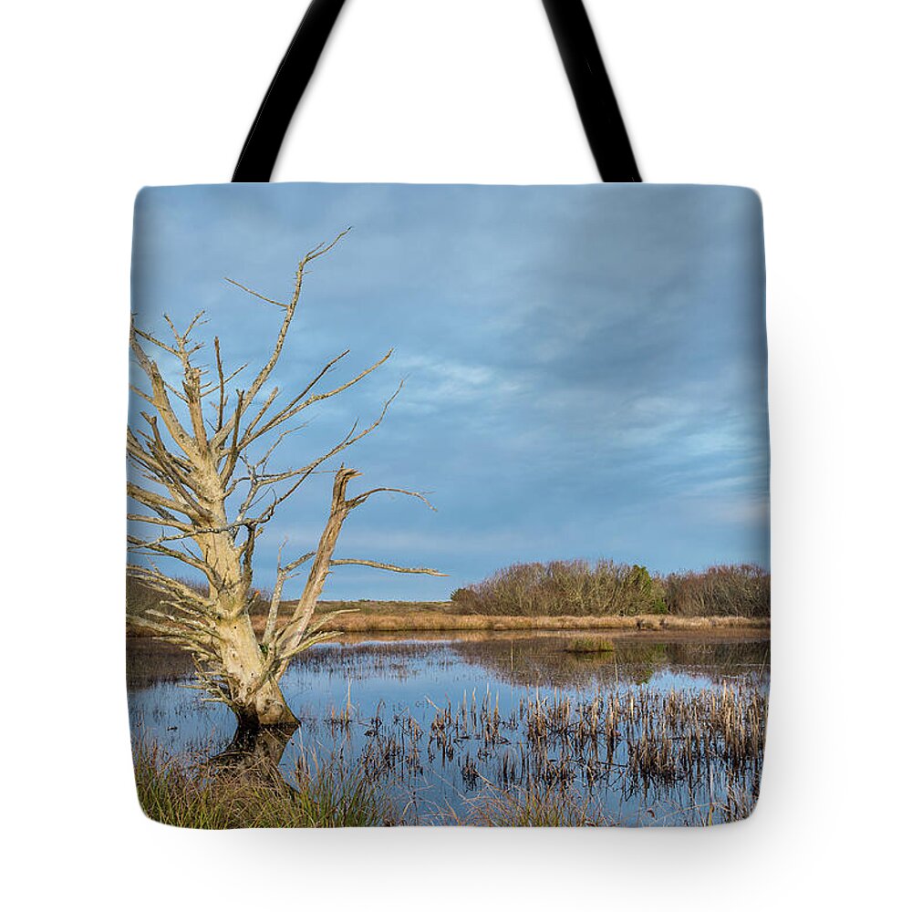 North Spit Tote Bag featuring the photograph Dead Tree in Marsh #1 by Greg Nyquist