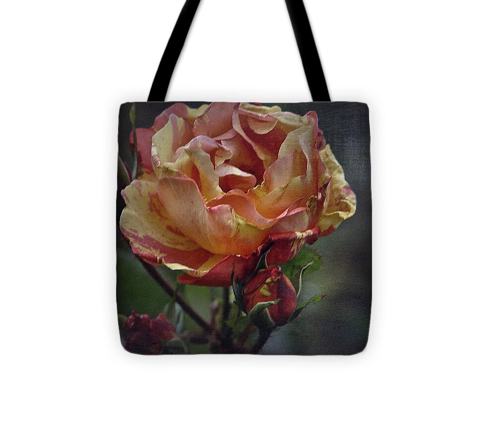 Rose Tote Bag featuring the photograph December Rose #1 by Richard Cummings