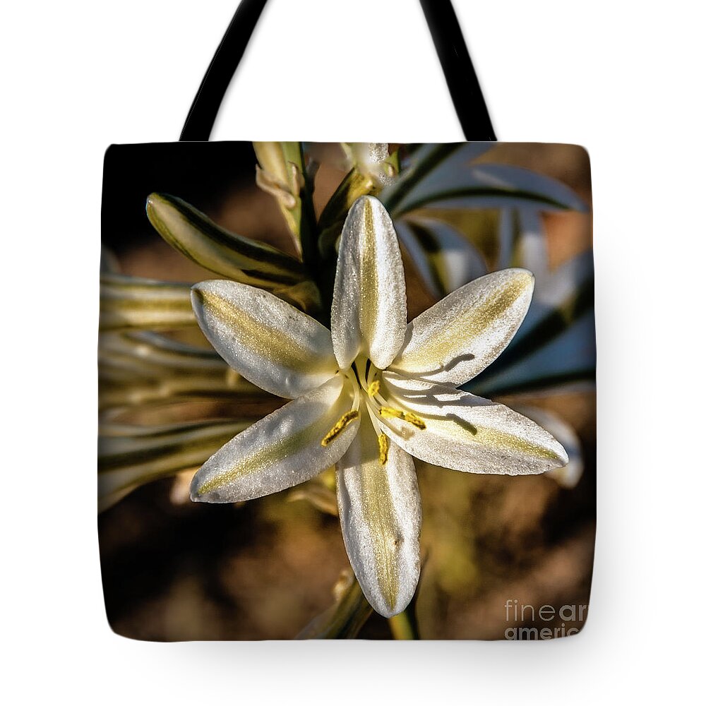 Arizona Tote Bag featuring the photograph Desert Lily #4 by Robert Bales