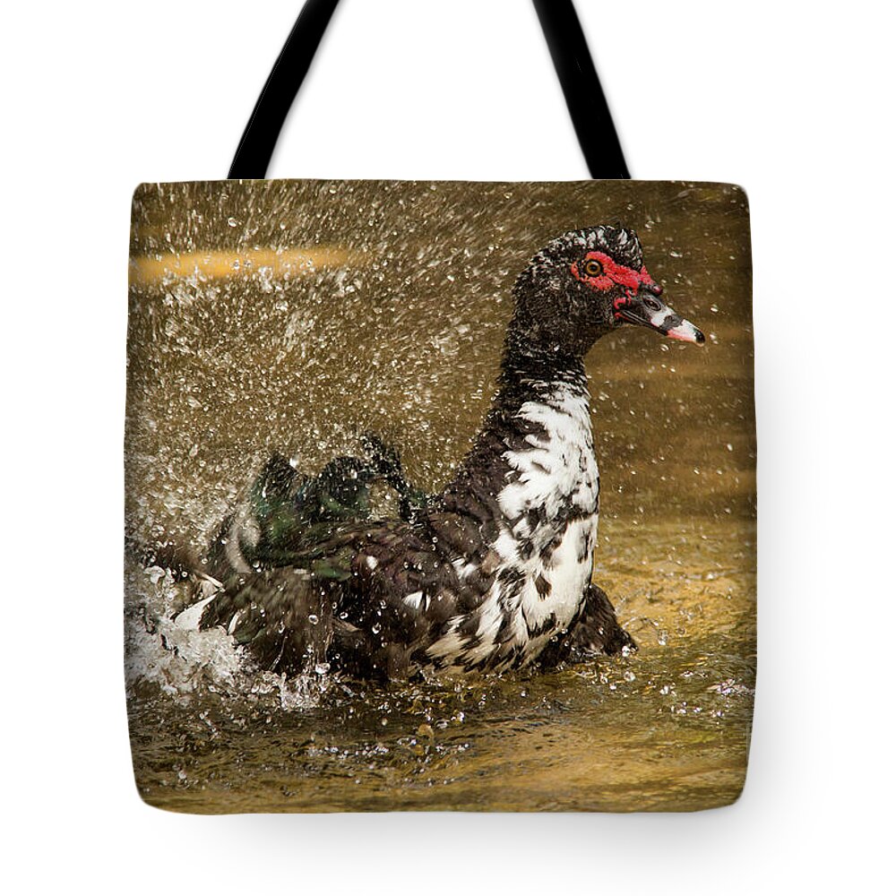 2016 Tote Bag featuring the photograph Does She See Me Yet? Wildlife Art by Kaylyn Franks by Kaylyn Franks