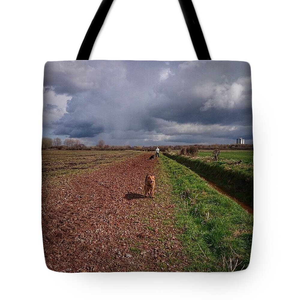 Petstagram Tote Bag featuring the photograph #dogs #darcy #gsd #germanshepherd #1 by Abbie Shores