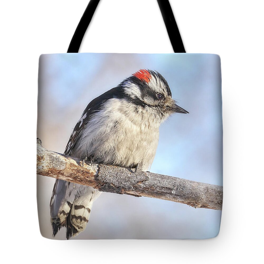 Woodpecker Tote Bag featuring the photograph Downy Woodpecker on a cold day in Minnesota by Jim Hughes