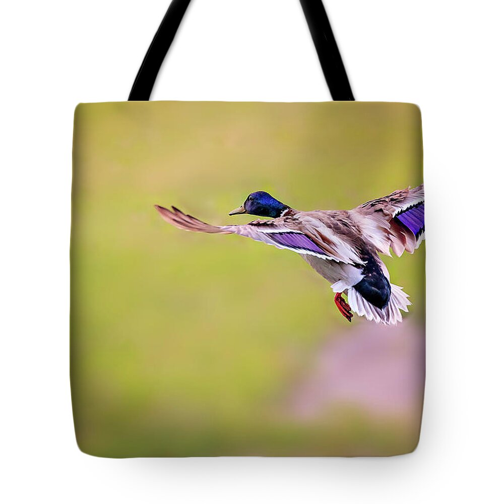 Animal Tote Bag featuring the photograph Duck-drake #1 by Peter Lakomy