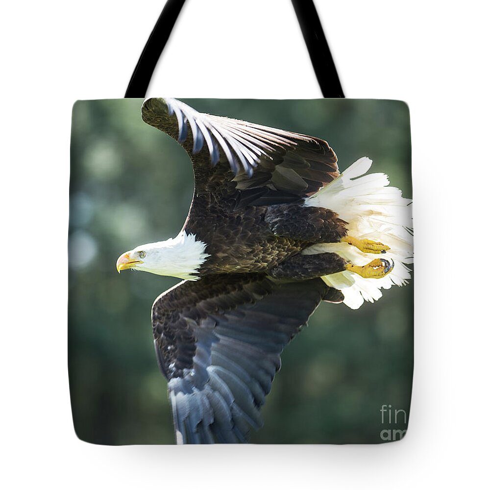 Bald Eagle Tote Bag featuring the photograph Eagle Flying 3005 #1 by Steve Somerville