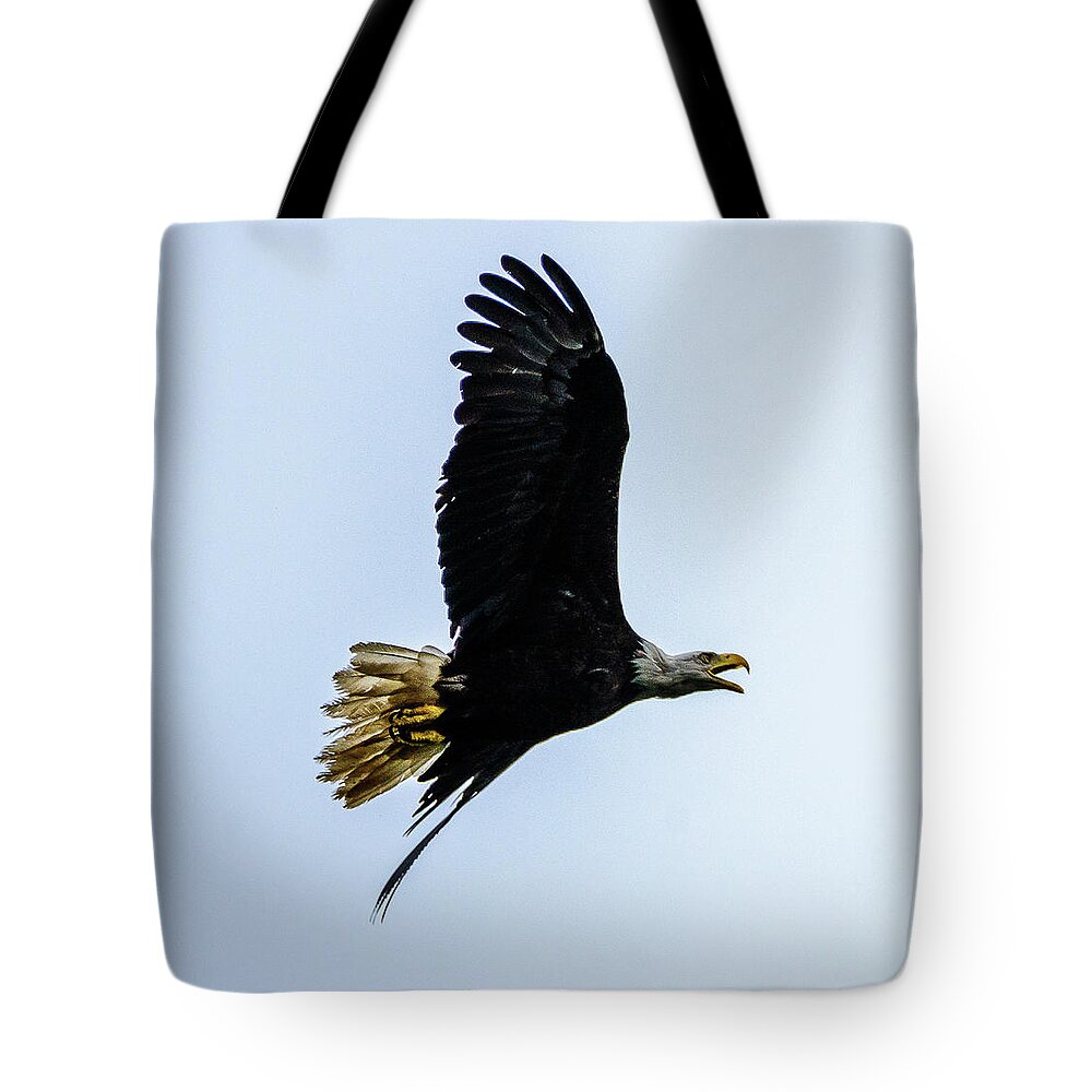 Eagle Tote Bag featuring the photograph Eagle by Jerry Cahill