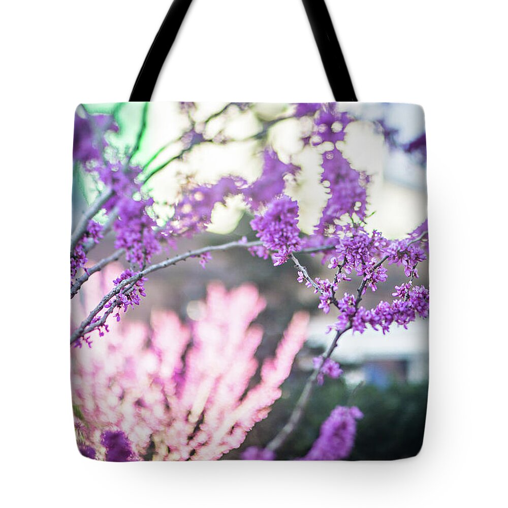 Charlotte Tote Bag featuring the photograph Early Spring Bloom In The City #1 by Alex Grichenko