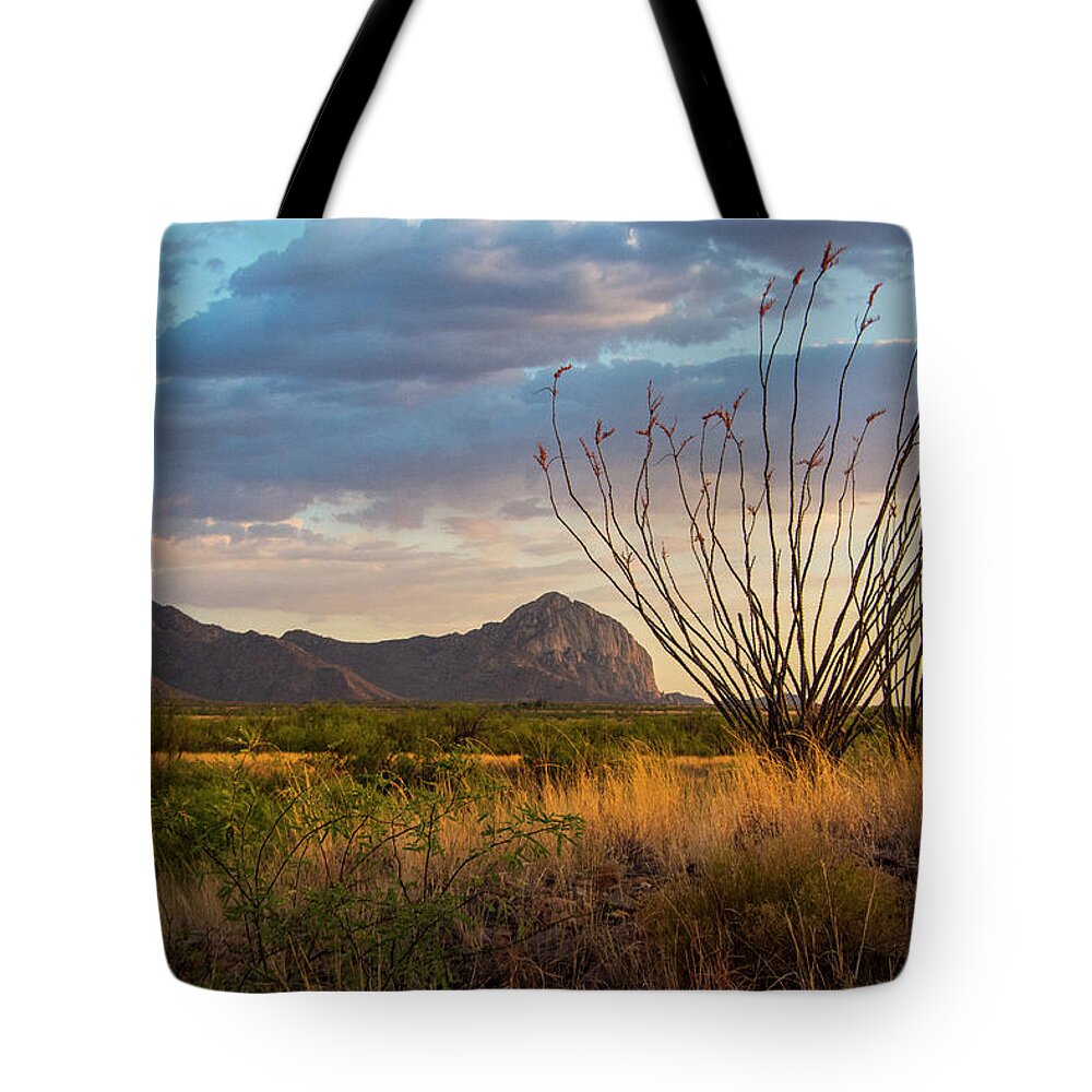 Arizona Tote Bag featuring the photograph Elephant Head #1 by Barbara Manis