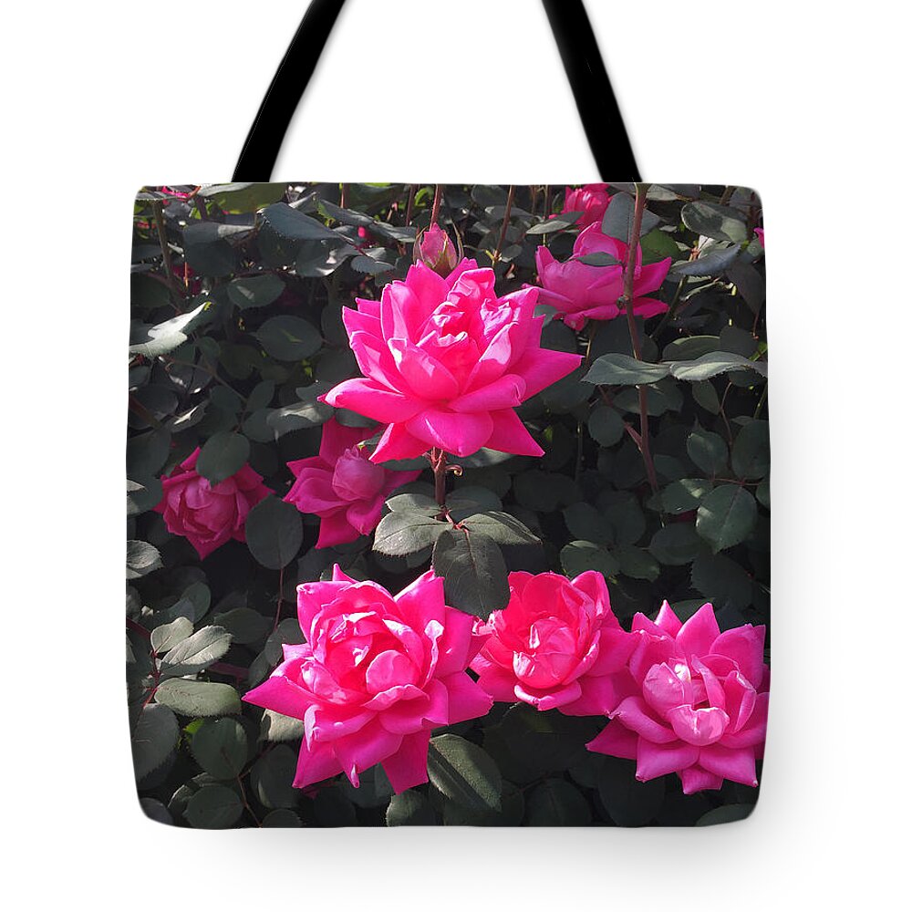 Rose Tote Bag featuring the photograph Enjoy The Simple Moments #3 by Matthew Seufer