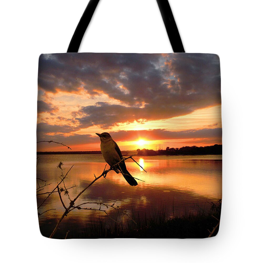 Sunset Tote Bag featuring the photograph Enjoying the Sunset by Michele A Loftus