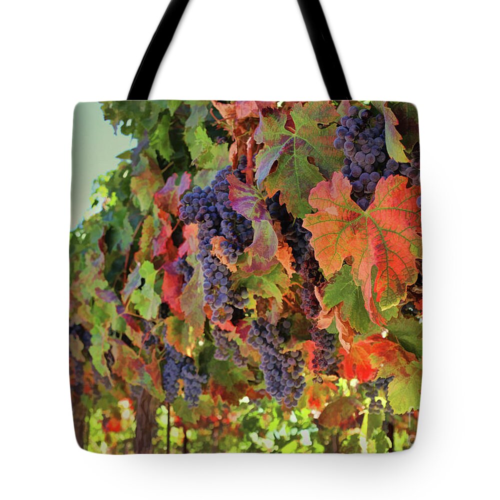 Wine Tote Bag featuring the photograph Fall Harvest Wine Vineyard with Grapes #1 by Stephanie Laird