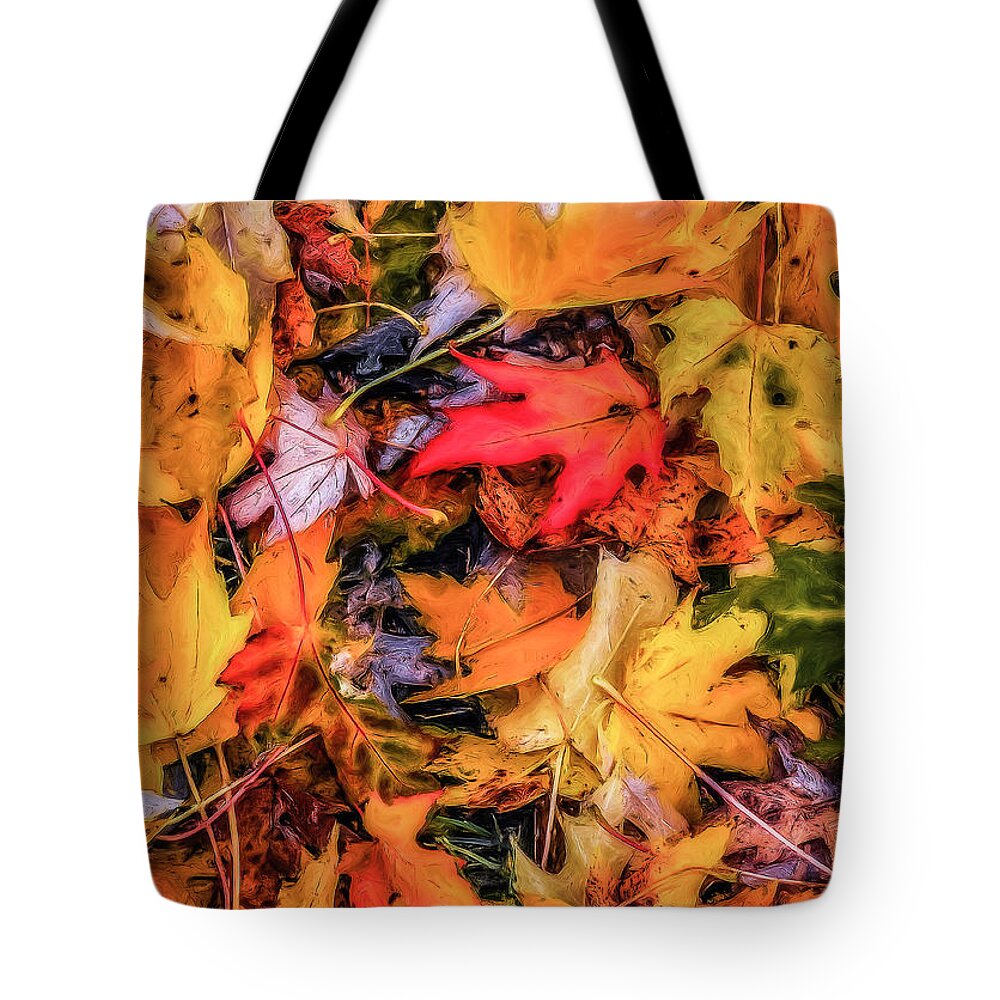 Leaves Tote Bag featuring the photograph Fallen Leaves #1 by Dennis Bucklin