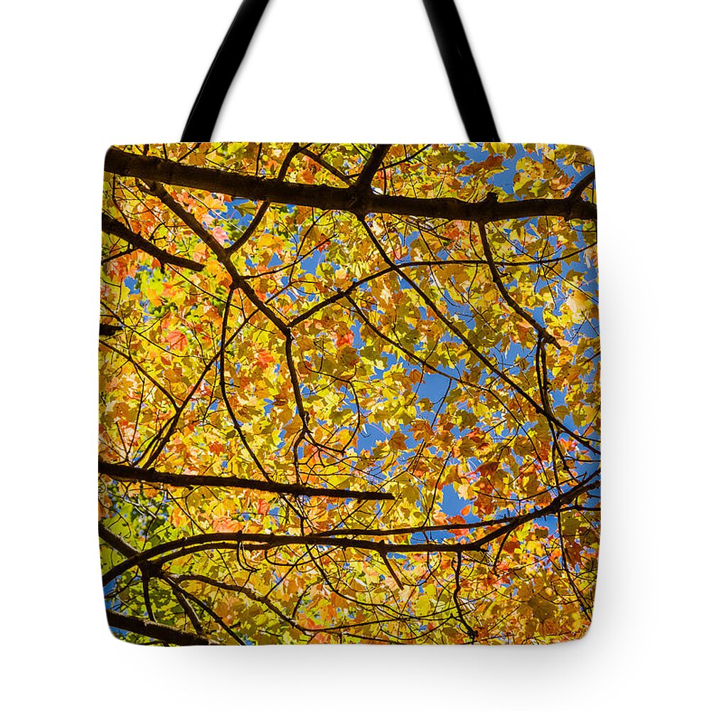 New Jersey Tote Bag featuring the photograph Fall's approach #1 by SAURAVphoto Online Store