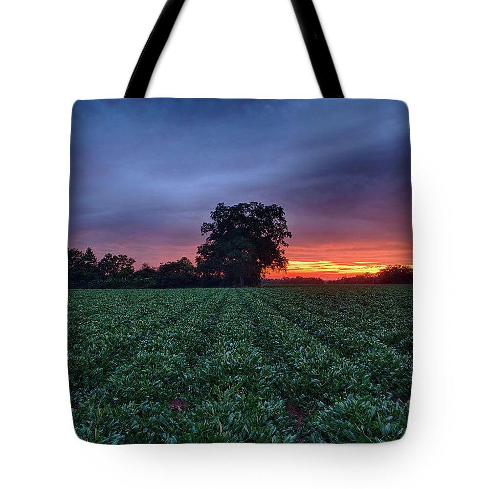 Farm Tote Bag featuring the photograph Farm Sunset #1 by Brad Boland