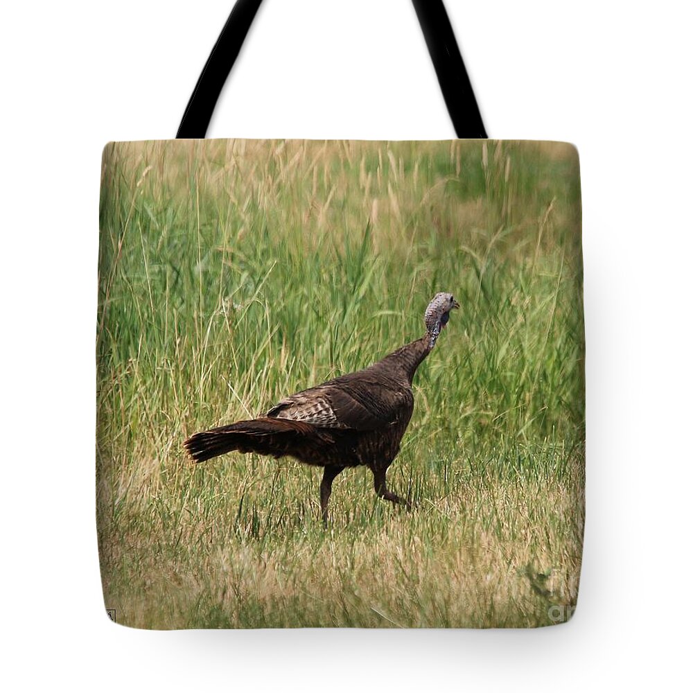 Mccombie Tote Bag featuring the photograph Female Eastern Wild Turkey #3 by J McCombie