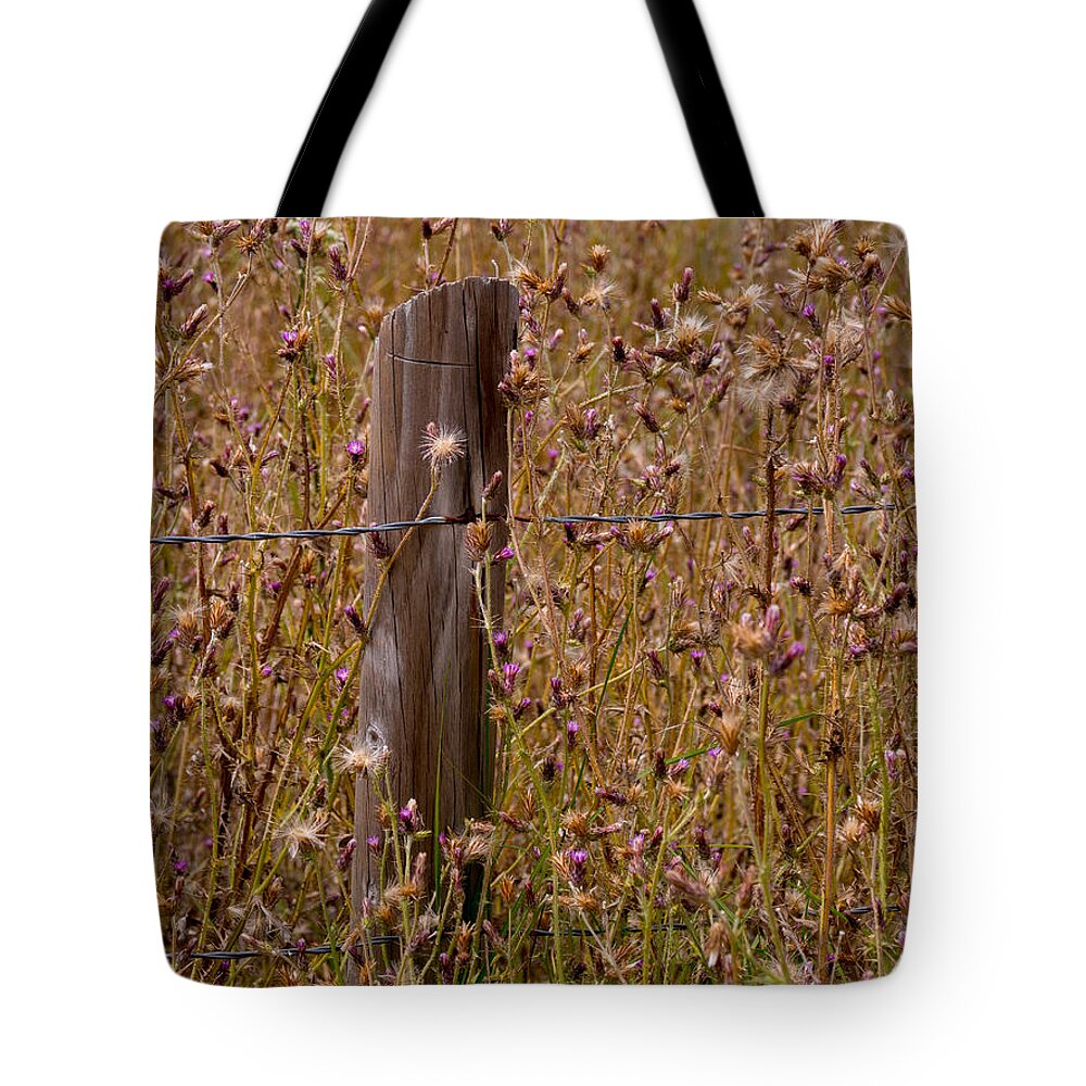 Fence Tote Bag featuring the photograph Fenced In by Derek Dean