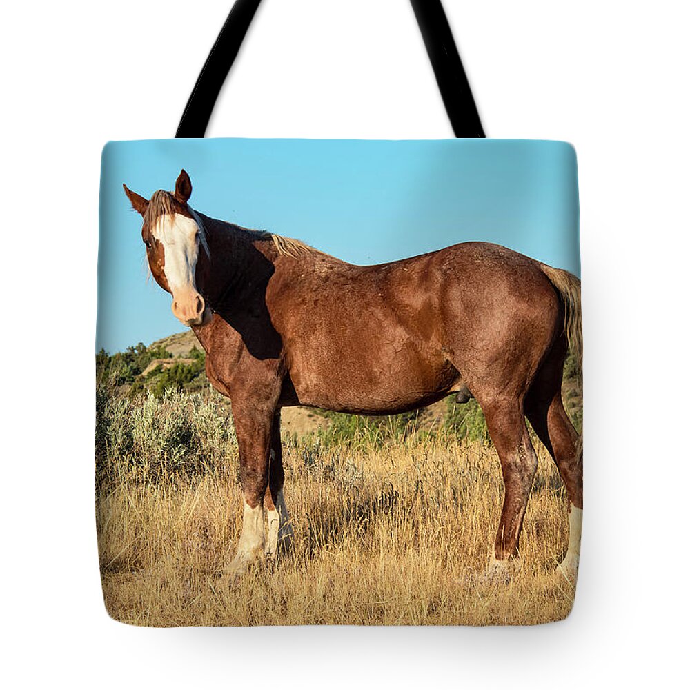Theodore Roosevelt National Park Tote Bag featuring the photograph Feral Horse Two by Bob Phillips