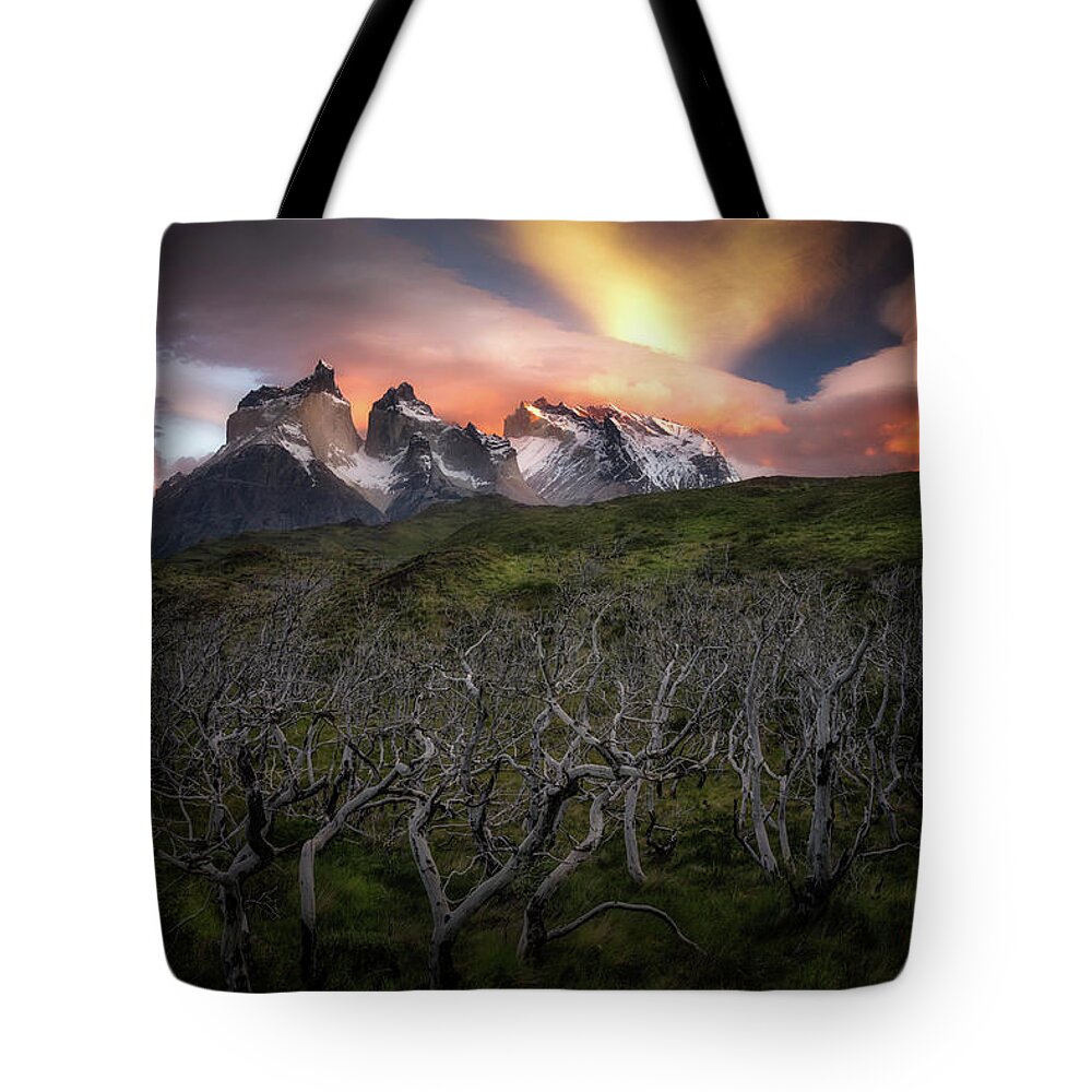 Paine Massif Tote Bag featuring the photograph Fire in the Sky by Nicki Frates