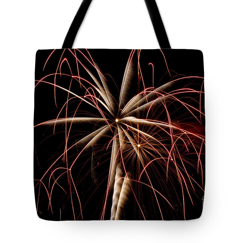 Fireworks 2016 Tote Bag featuring the photograph Fireworks 2016 #1 by Tara Lynn