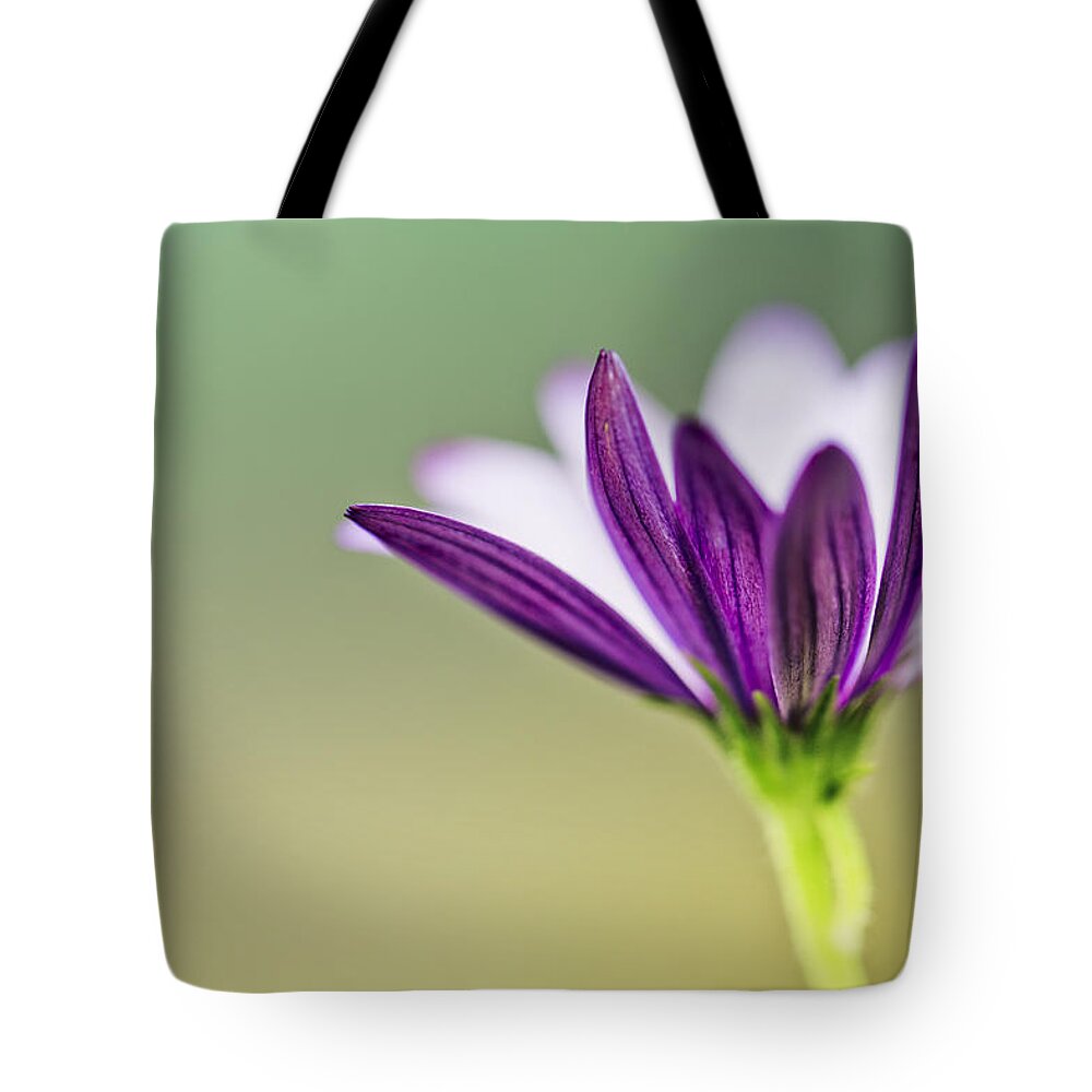 Flower Tote Bag featuring the photograph Flower on Summer Meadow by Nailia Schwarz
