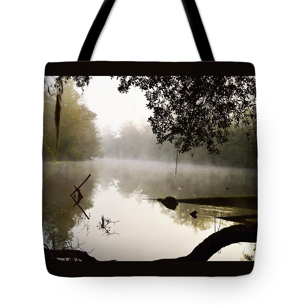 Fog And Light Tote Bag featuring the photograph Fog and Light #1 by Warren Thompson