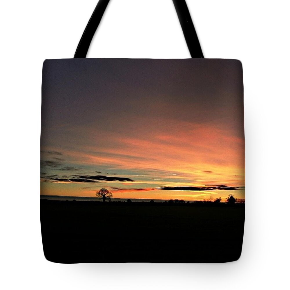 Beautiful Tote Bag featuring the photograph Following The Sun #1 by Vicki Field