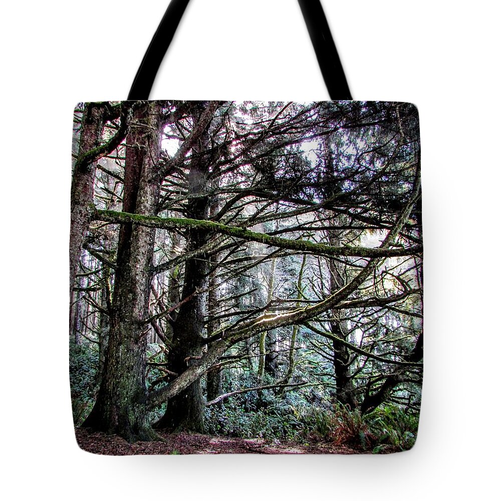 Trees Tote Bag featuring the photograph Forest Path #1 by Marilyn Diaz